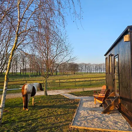 Alpesi faház Tiny House Le Haras En Baie De Somme *